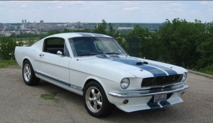 1965 Ford Mustang Pony